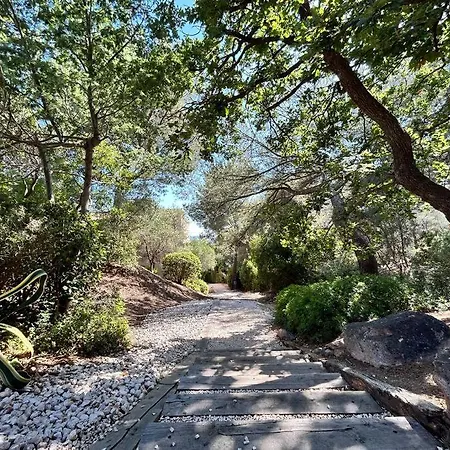 Acces Direct דירה